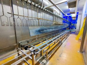 16430136202687_LINE_ALBUM_Top_chain_conveyor_220114_10